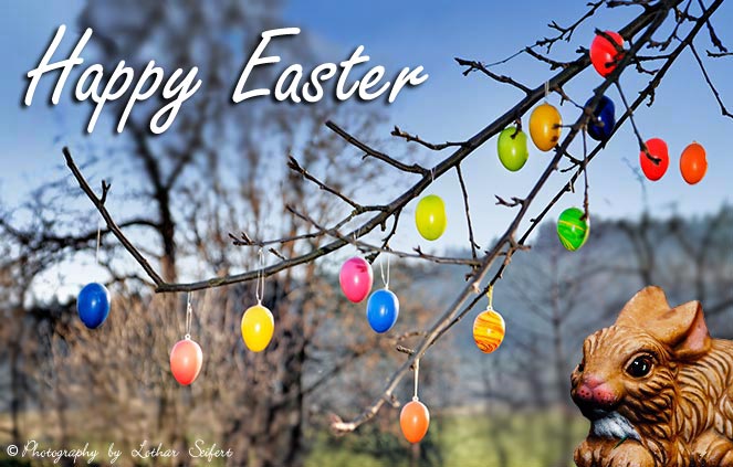 Greeting card Happy Easter. The Easter Bunny wishes you a Happy Easter. Fotografie von Lothar Seifert