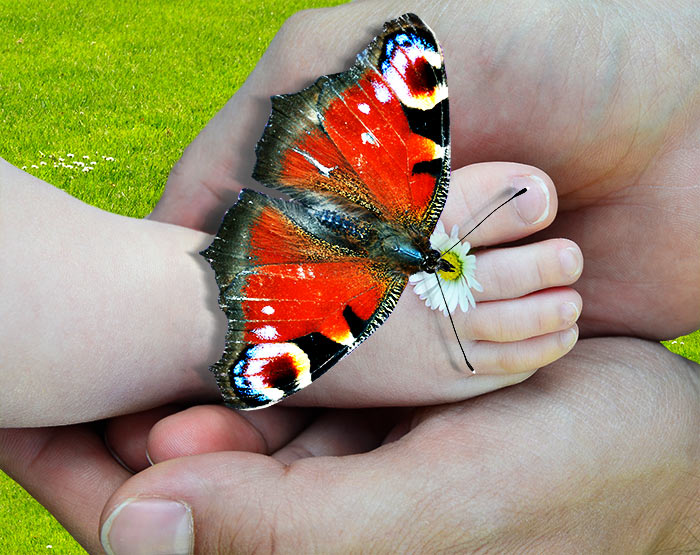 Baby und ein Schmetterling auf einer Blume. Fotografie von Lothar Seifert