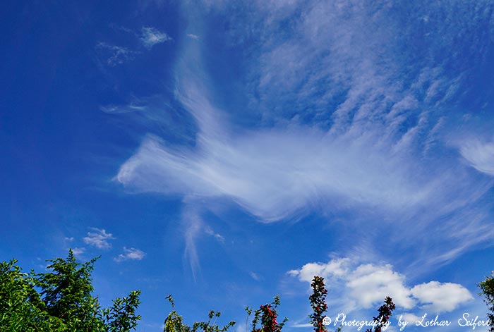 Drachen am Himmel, eine Federwolke. Fotografie von Lothar Seifert