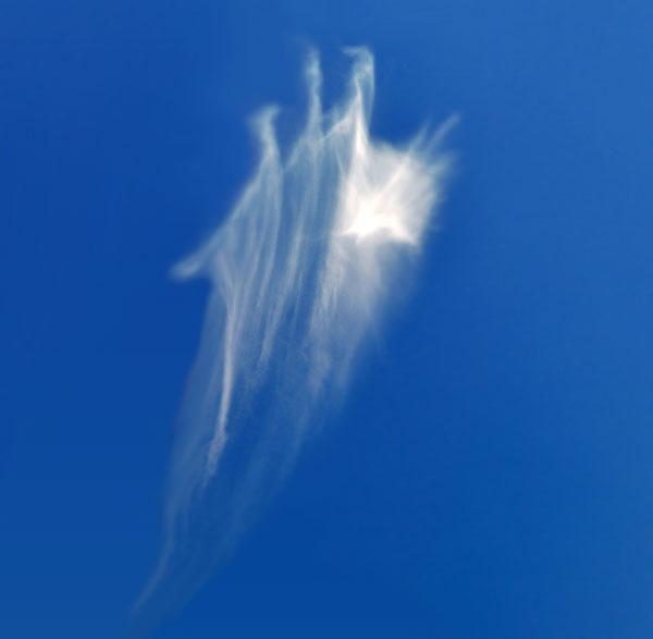 Federwolken (lat. Cirrus) schweben wie eine Feder in großer Höhe über der Erde. Fotografie von Lothar Seifert