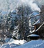 Winter 2010