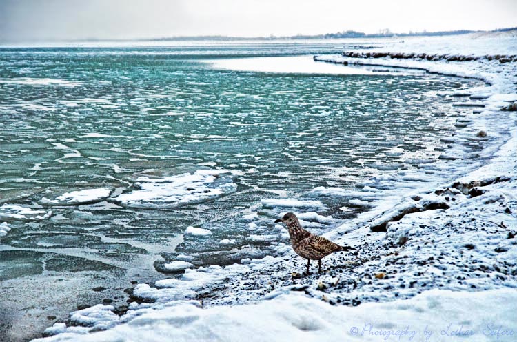 Der Ostseestrand war im Winter 2010 teilweise mit Eisschollen bedeckt. Fotografie von Lothar Seifert