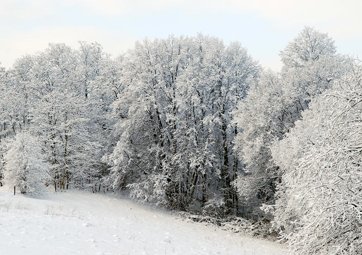Winterbilder mit Schnee, Eis und Kälte. In der warmen Stube sind Winterbilder gemütlich anzuschauen. Fotografie von Lothar Seifert