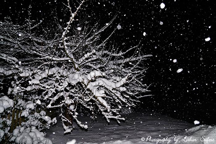 Winternacht mit starkem Schneefall. Fotografie von Lothar Seifert